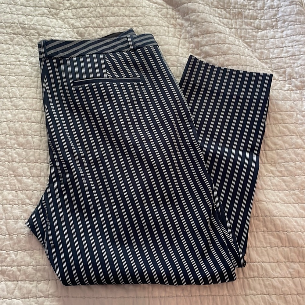Banana Republic Sloan Crop Pants